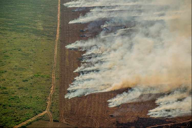 Amazônia Legal tem o maior desmatamento em 15 anos, aponta Imazon
