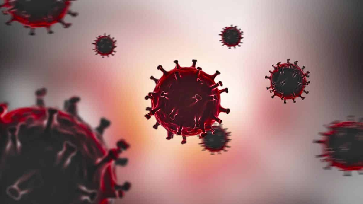 Bactéria terrestre sobrevive por três anos no espaço