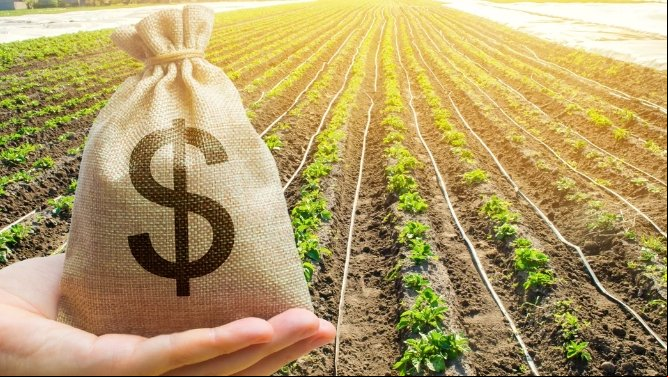 Produtores rurais podem renegociar dívidas do crédito rural até dia 31 de maio